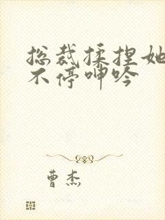 总裁揉捏她两乳不停呻吟