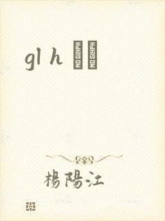 gl h С˵封面