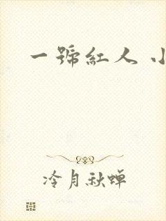 一号红人 小说封面