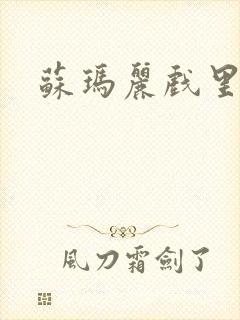 苏玛丽戏里戏外封面