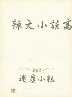 辣文小说高h