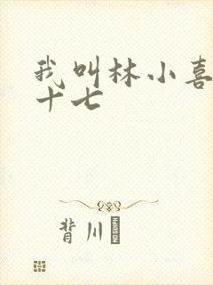 我叫林小喜今年十七