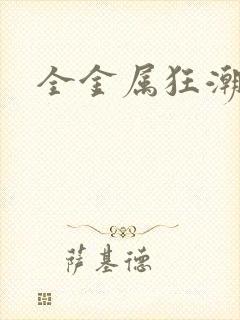 全金属狂潮小说