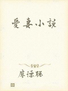 爱妻小说