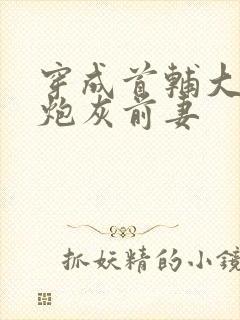 穿成首辅大人的炮灰前妻封面