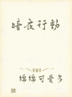 暗夜行动
