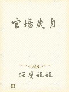 官场岁月