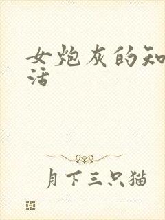 女炮灰的知青生活封面