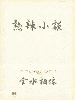 热辣小说封面