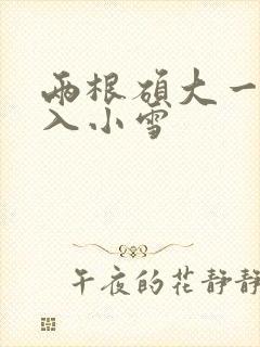 两根硕大一起挤入小雪