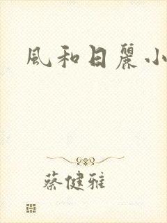 风和日丽小说