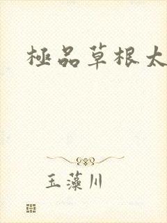 极品草根太子