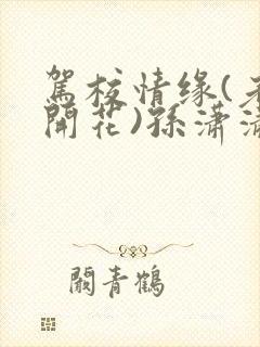 驾校情缘(老树开花)孙潇潇笔趣阁