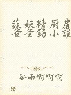 苏妖精厨房爹爹爸爸的小说