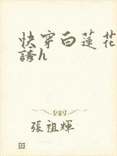 快穿白莲花的引诱h