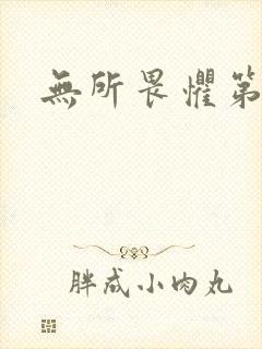 无所畏惧第二部