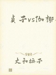 贞子vs伽椰子封面