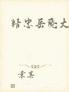 精忠岳飞大结局