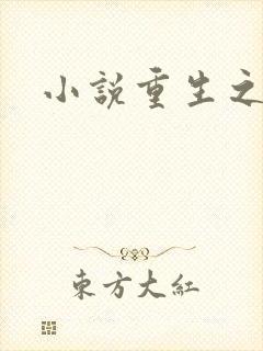 小说重生之官道封面