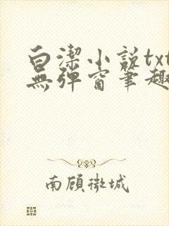 白洁小说txt无弹窗笔趣阁