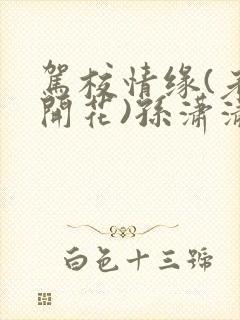 驾校情缘(老树开花)孙潇潇第一次趣笔阁封面