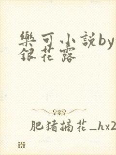 乐可小说by金银花露