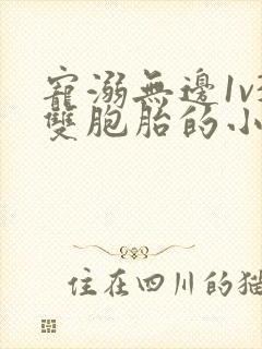 宠溺无边1v3双胞胎的小说