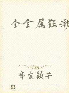 全金属狂潮小说封面