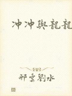 冲冲与龙龙封面