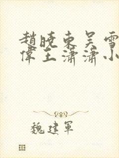 赵晓东吴雪晴郑伟王潇潇小说名字