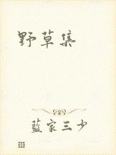 野草集封面