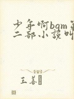 少年啊bgm第二部小说叫什么