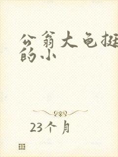 公翁大龟挺进我的小