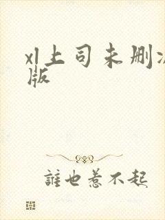 xl上司未删减版