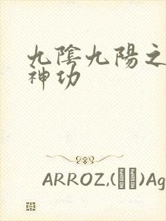 九阴九阳之阴阳神功封面