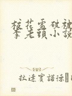 校花处破被灌满李老头小说