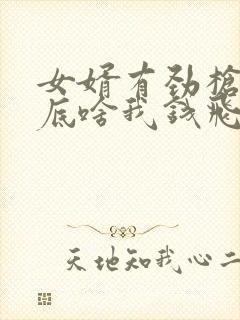 女婿有劲枪枪到底啥我钱飞了