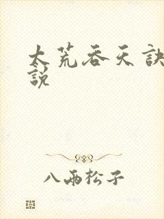 太荒吞天诀 小说