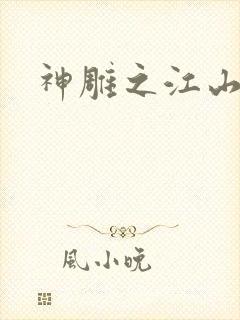 神雕之江山美人封面