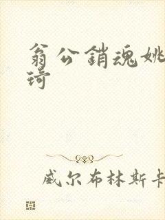 翁公销魂姚瑶琦琦封面