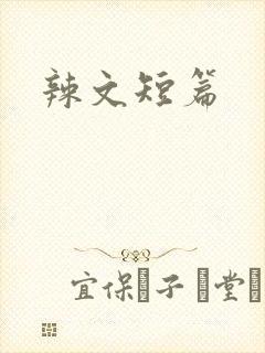 辣文短篇