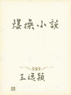 爆操小说
