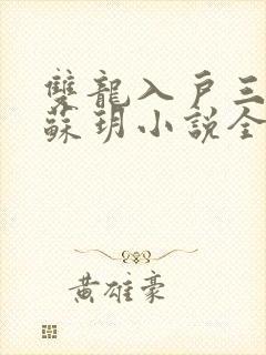 双龙入户三人行苏玥小说全文阅读