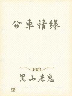 公车情缘