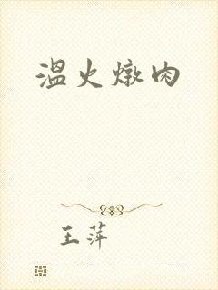 温火炖肉