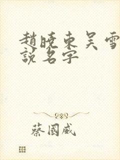 赵晓东吴雪晴小说名字