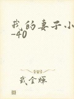 我的妻子小谨1-40