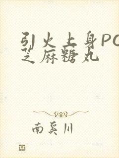 引火上身POP芝麻糖丸