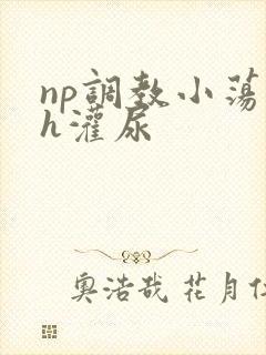 np调教小荡货h灌尿