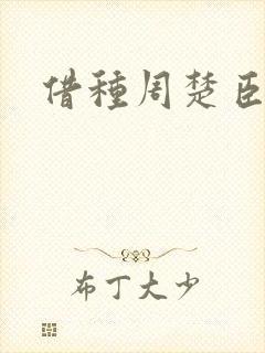 借种周楚臣封面